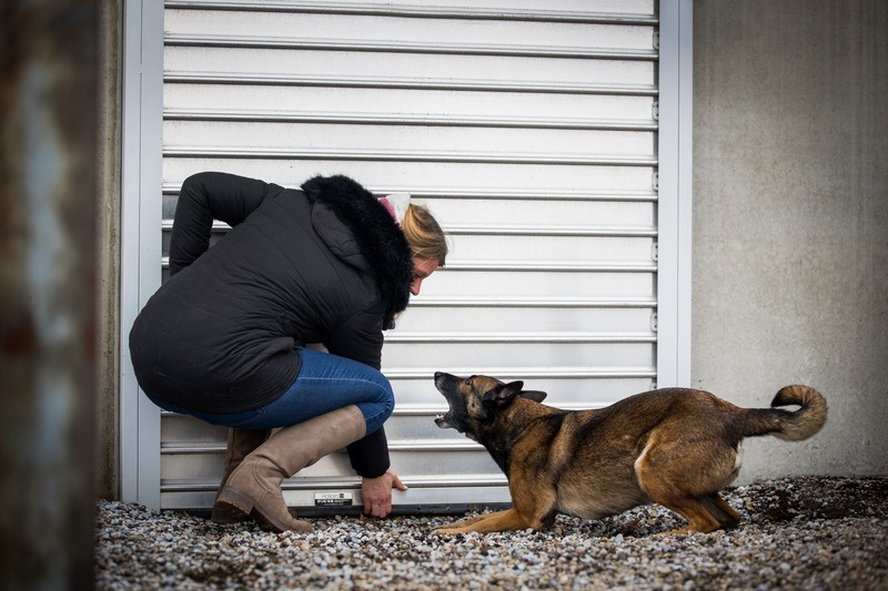 Mise en situation de prévention : Amaryllis et un chien devant une porte